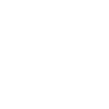 Icon Transport